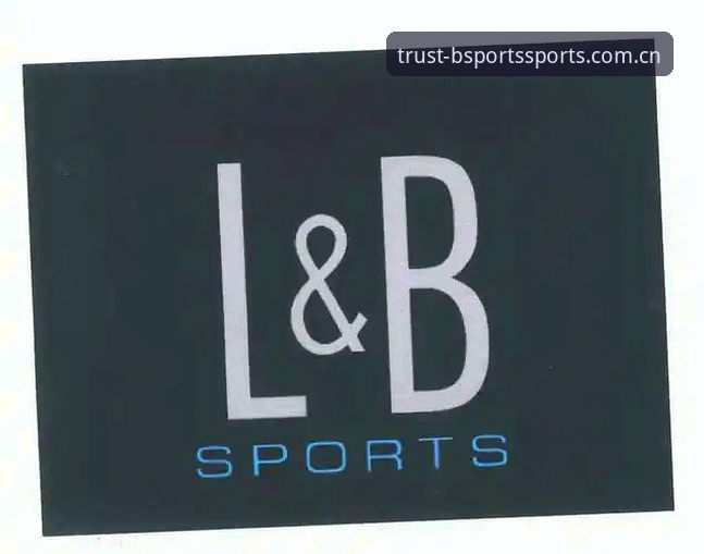 B-Sports数据分析平台 BSports体育数据分析平台新手教程:从注册到实战的完整指南