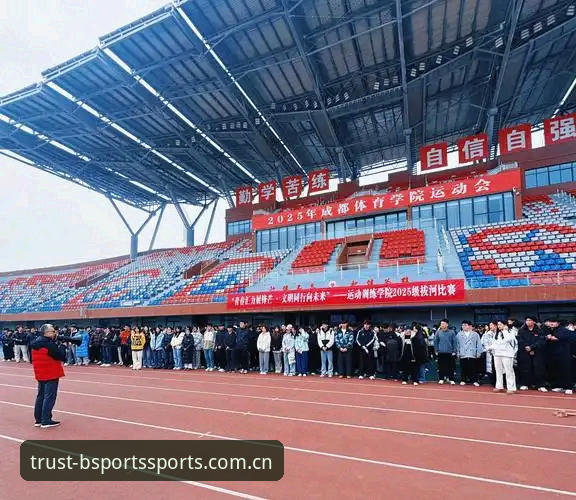 最新B-Sports官方下载 BSports体育最新动态:2025年用户注册量与赛事数据服务迎来爆发式增长